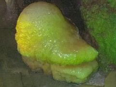 -泰安地下龙宫景区