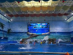 -多彩贵州城极地海洋世界