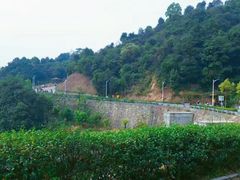 -火炉山森林公园