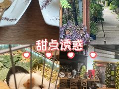 -谷咖啡·鲜花绿植花园餐厅