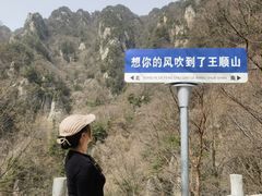 -王顺山国家森林公园