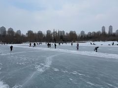 -群力丁香公园