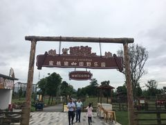 -田园东方蜜桃村的田野营地