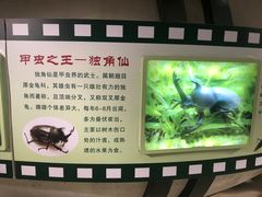-上海昆虫博物馆
