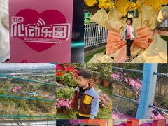 -盈香心动乐园