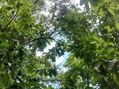 -韶山毛泽东同志故居