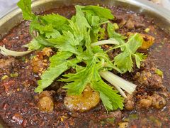 -温江公平红烧兔(总店)