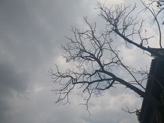 -上甘棠村