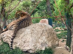 -栾川竹海野生动物园