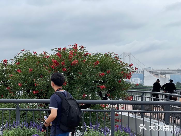 台场海滨公园船码头图片