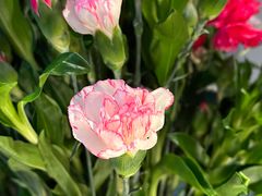 -春暖花开(西溪店)