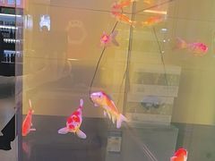 -六泰居·尔滨地标·东北菜(黄河路店)