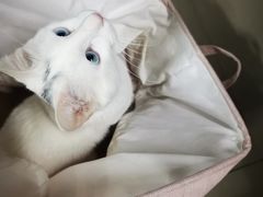 -一片田陶艺工作室