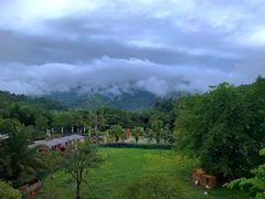 -雅安楠水阁温泉酒店