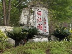 -广州白江湖森林公园