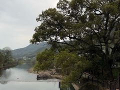 -石舍洒秀咖啡馆