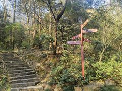 -岳麓山风景名胜区