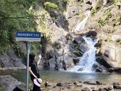 -九龙江国家森林公园