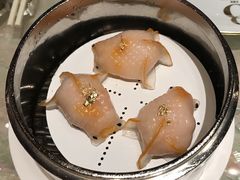 -8餐厅(新葡京酒店)