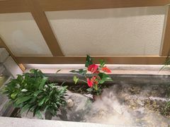 -首秀·四川料理(星耀101店)