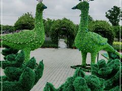 -上海杨姆庄园