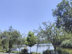 -成都南湖公园