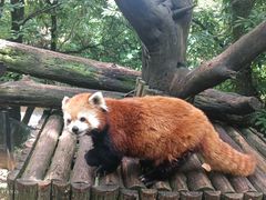 -云南野生动物园