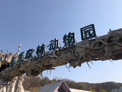 -大连森林动物园