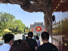 -大槐树寻根祭祖园