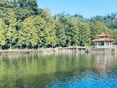 -深圳仙湖植物园