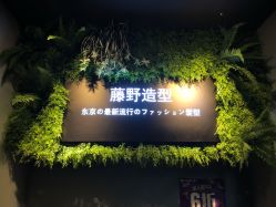 点击看大图 -藤野造型