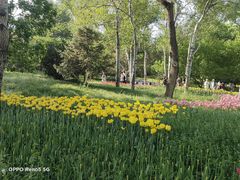 -国家植物园南园