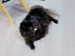 -A+摄影