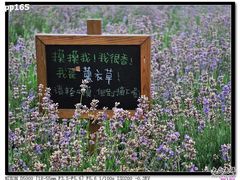 -云峰山自然风景区