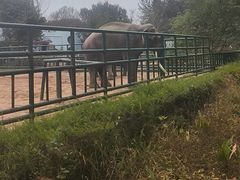 -秦皇岛野生动物园