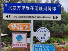 -汤旺河林海奇石景区