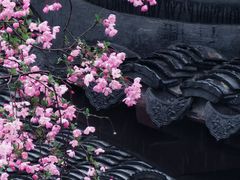 -莫愁湖公园