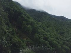 -将军关探险漂流