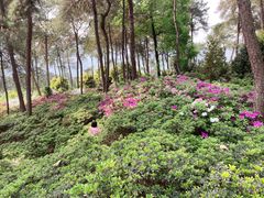 -南山植物园