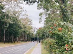 -福田红树林生态公园