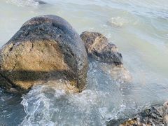 -上海吴淞炮台湾国家湿地公园