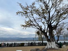 -西昌邛海宾馆