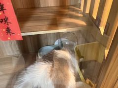 -白兔子密室(长寿路店)