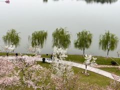 -南京城墙景区