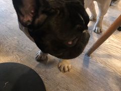 -小时光咖啡馆(北锣鼓巷店)