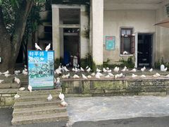 -赤坎·广东华侨国际旅游度假区