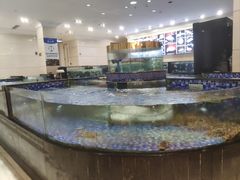 -龙悦湾酒家·八阵鱼生·渔人码头店