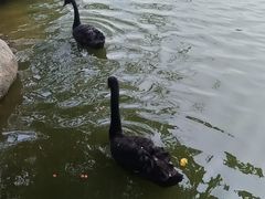 -珠海圆明新园