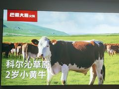 -巴蜀大将火锅(春熙店)