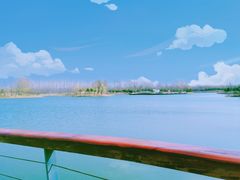 -东郊湿地公园